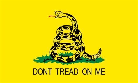 gadsden dont tread on me flags the flag factory