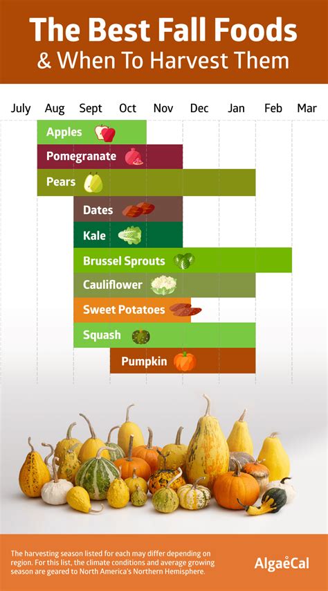Whats In Season The Best Fall Foods