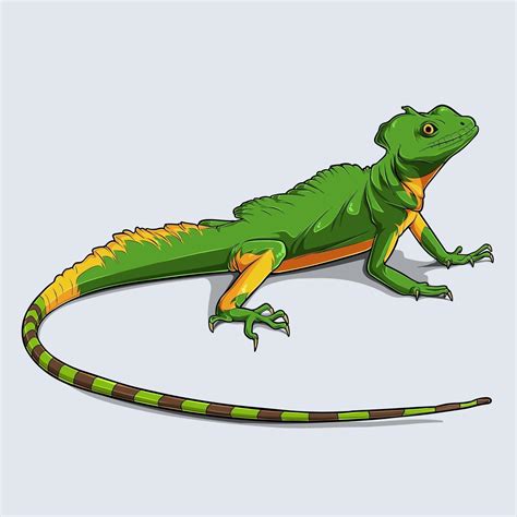 Hand Drawn Colorful Lizard 2223255 Vector Art At Vecteezy