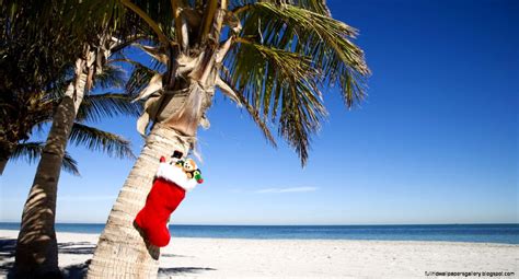 Christmas Beach Wallpapers Top Free Christmas Beach Backgrounds