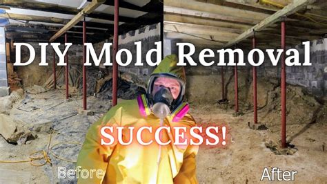 The Mold Is Gone Update On Diy Mold Removal Youtube