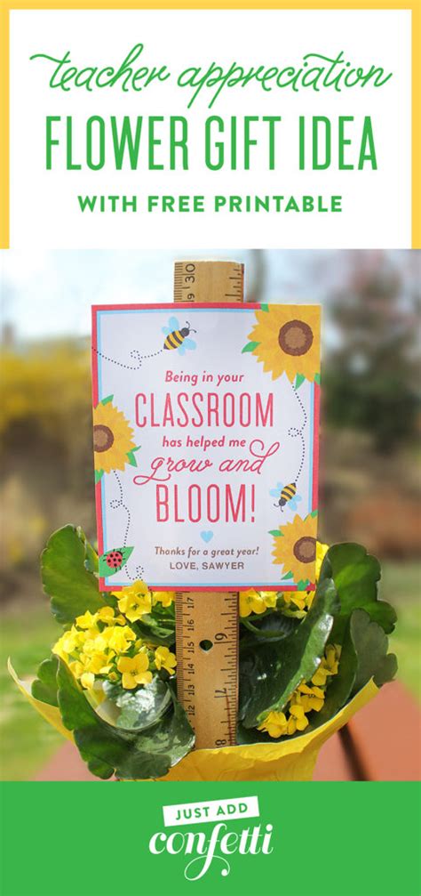 Elegant gifts crafted to last a lifetime! "Bloom in your Classroom" Flower Teacher Gift Idea - Just ...