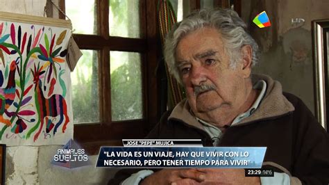José pepe mujica un claro ejemplo a seguir. José "Pepe" Mujica en "Animales sueltos" de A.Fantino ...