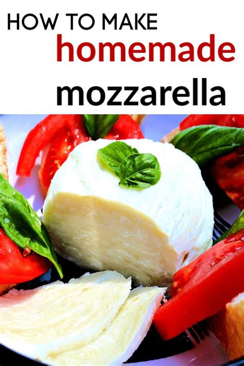 Homemade Mozzarella Cheese Recipe 1 Hour Cheese Recipe