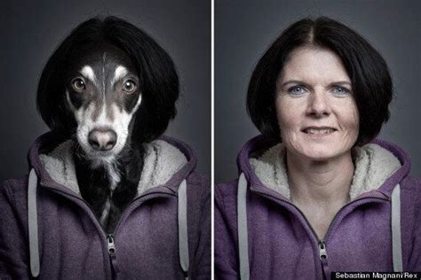Dogs Who Look Like Their Ownerswith A Little Help From Sebastian