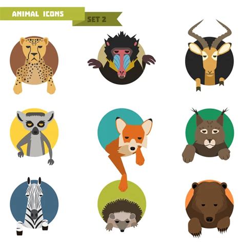 Animal Avatars Vector Illustration — Stock Vector © Dashikka 51405397