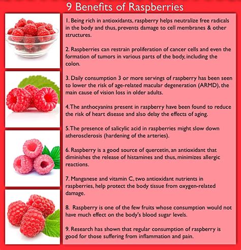 14 Tremendous Benefits Of Raspberries You Must Know My Health Only