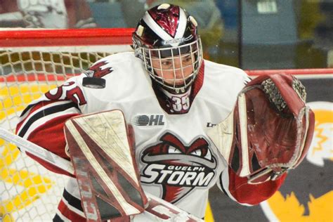 Guelph Storms Nico Daws Named Ohl Goaltender Of The Year Guelph News