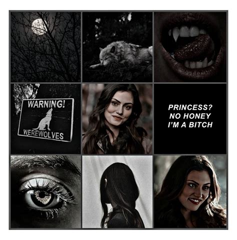 Delena  Tvd Aesthetic Collage Book Aesthetic Hayley And Klaus Diana Rose Werewolf