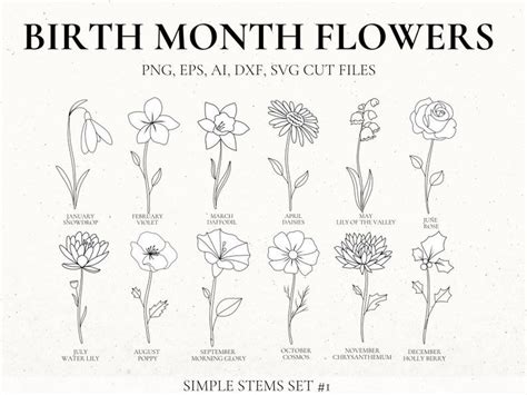 Birth Month Flower Svg Bundle Hand Drawn Flower Flower - Etsy | Birth