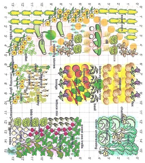An Image Of Various Plants And Vegetables On A Sheet With Numbers In