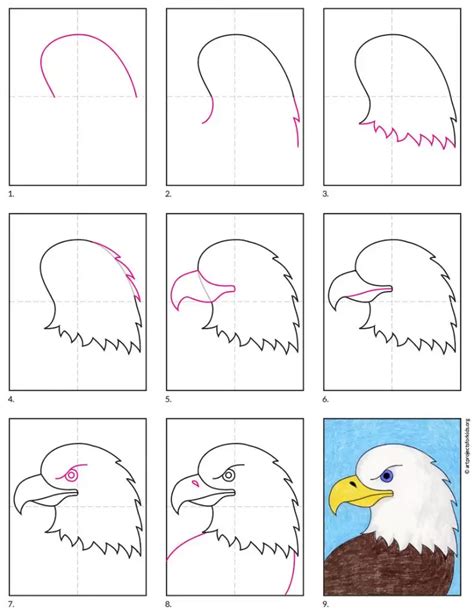 How To Draw An Eagle Step By Step For Kids