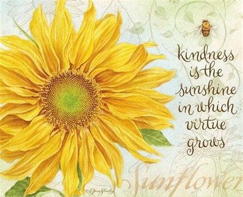 Check spelling or type a new query. Pin by Cindy Abbott on ~*Love by JESUS*~ | Flower quotes ...