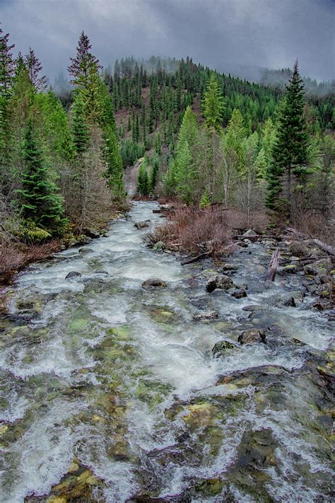 Boulder Creek In Rain Photograph By Link Jackson Fine Art America