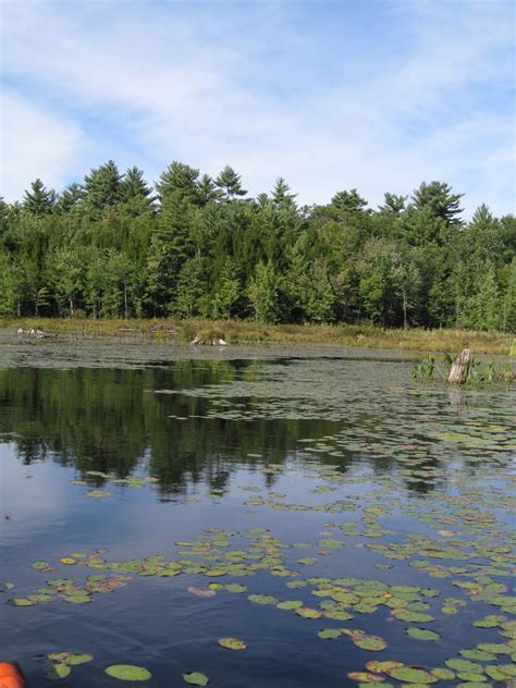 Recreational Kayaking In Maine Roberts Pond Lyman