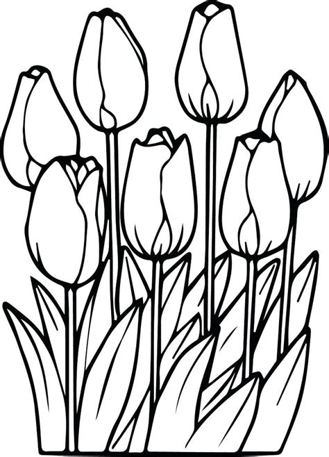 Free printable spring coloring pages. Tulip Flower Coloring Pages at GetDrawings | Free download