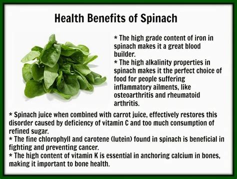 Spinach Benefits Spinach Benefits Spinach Health Benefits Spinach Juice