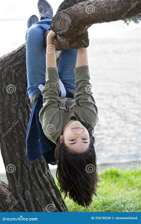 Muchacha Adolescente Joven Que Cuelga En El Miembro De árbol Foto de archivo Imagen de