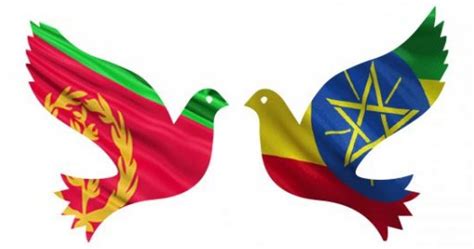 Us Welcomes Ethiopia Eritrea Peace Efforts Africanews