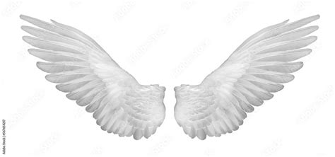 Realistic Angel Wings White Wing Isolated Png Transparency Stock