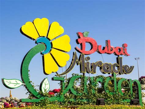 Dubai Miracle Garden Mit Vielen Informationen Zum Besuch Für Touristen