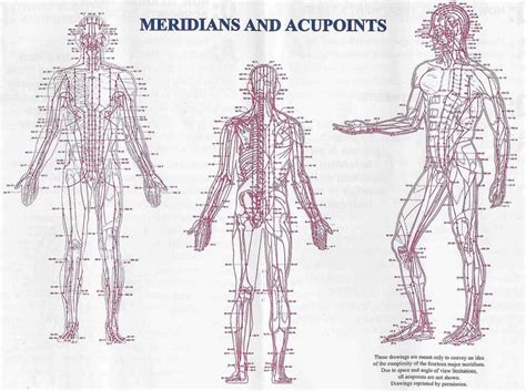 Acupoints Acupuncture Points Acupuncture Meridian Acupuncture