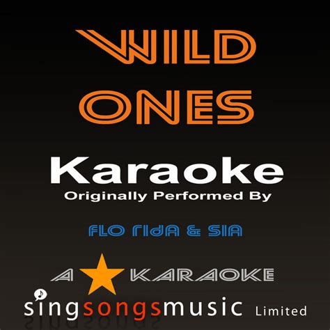 Wild Ones Originally Performed By Flo Rida Feat Sia Karaoke Audio