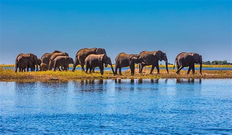 10 Interesting And Unique Facts About Botswana