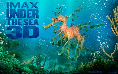 42 Under The Sea Wallpapers