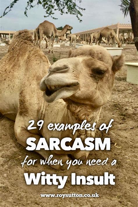 29 examples of sarcasm for when you need a witty insult | Sarcasm examples, Witty insults, Sarcasm