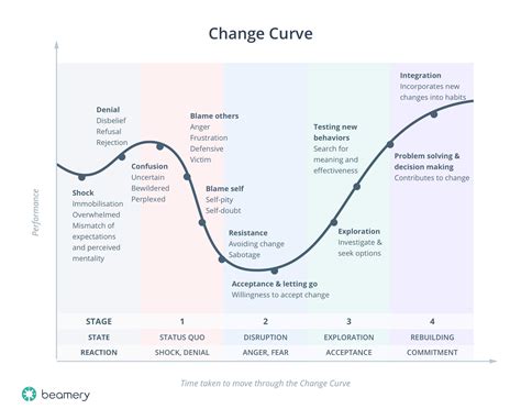 The Change Curve Dr Mike Clayton Le Management Busine