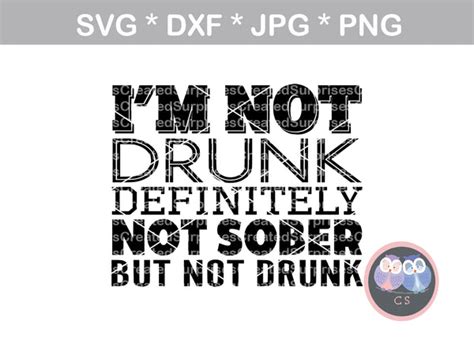 im not drunk definitely not sober but not drunk funny digital down createdsurprises