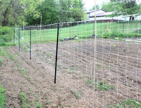 What you need to make a simple, yet effective trellis: trellis for pole beans | Unique garden ideas | Pinterest