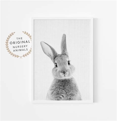 Bunny Wall Art Print ~ Nursery Decor ~ Black And White Grey Rabbit