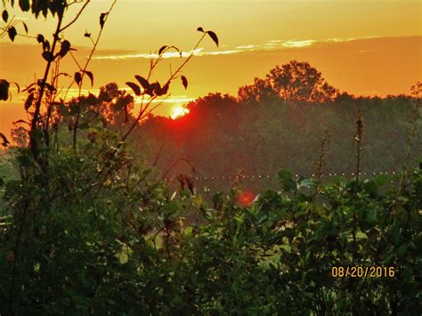 Morning Glory Dry Fork Virginia Michael Jon Flickr