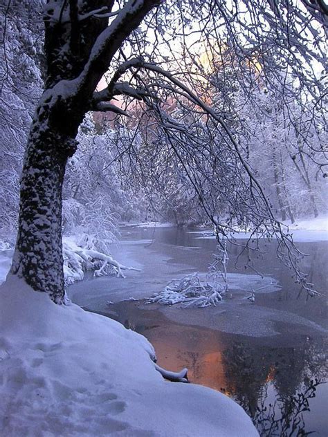 Awesome Winter Landscape Winter Scenery Winter Pictures