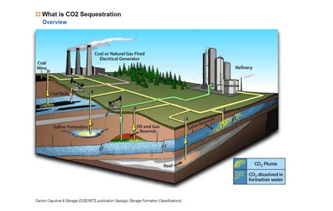 What Is Carbon Sequestration John Perez Graphics