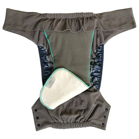 Ecoable Pull Ups Cloth Diaper With Insert Special Needs Briefs For