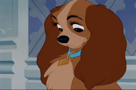 Lady And The Tramp Disneys Lady And The Tramp Image