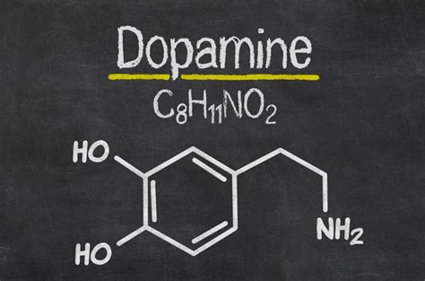 Niedriges Dopamin kann auf eine frühe Alzheimer Erkrankung hinweisen DEMedBook