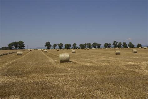 Hay Bales Free Photo Download Freeimages