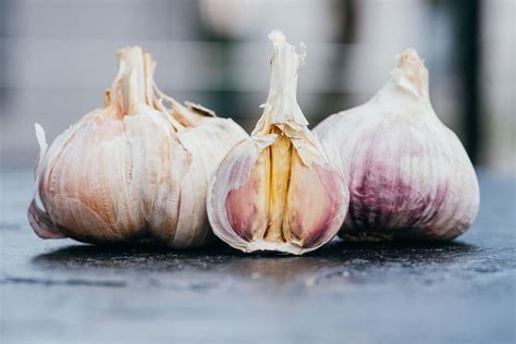 For most people, they would not really care, but for you being a garlic lover, it is just a curious fact to know. The Grandeur of Garlic: Benefits of Garlic and History ...