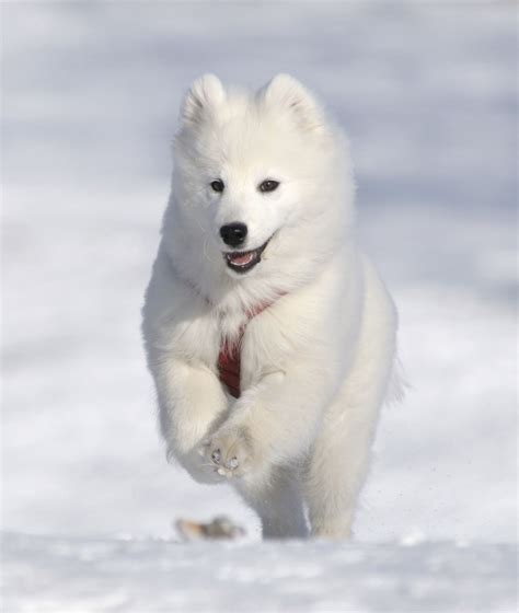 Пин на доске The Very Nature Of White