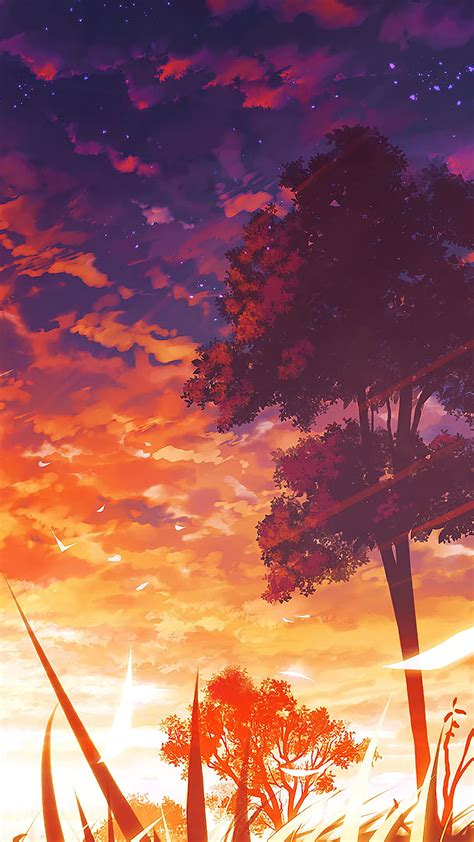 Your name cover, male and female anime characters illustration. Anime Sunset And Trees Wallpapers - Wallpaper Cave