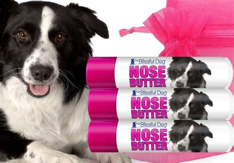 Border Collie Nose Butter Organic Treatment For By Theblissfuldog