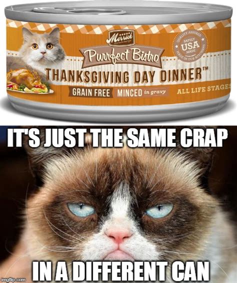 thanksgiving grumpy cat