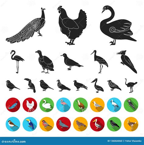 Types Of Birds Blackflat Icons In Set Collection For Design Home And