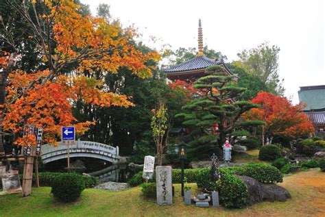 Anrakuji Temple 6 Temple In Shikoku 88 Pilgrimage Travel Arrange Japan