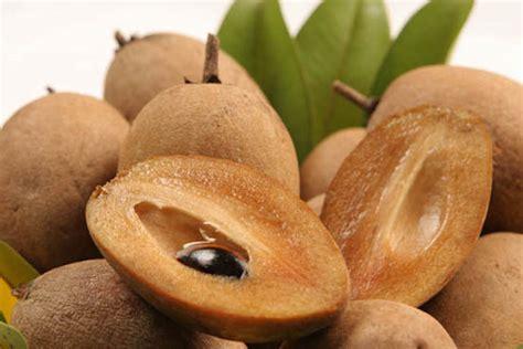 15 Exotic Fruits Youve Probably Never Heard Of