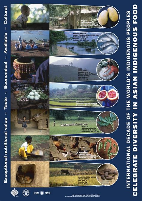 .history month 2021 and national indigenous peoples day, the government of canada is pleased to offer a *smoke is used in different ways by all three indigenous groups in canada. Posters | Centre for Indigenous Peoples' Nutrition and Environment - McGill University